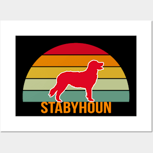 Stabyhoun Vintage Silhouette Posters and Art